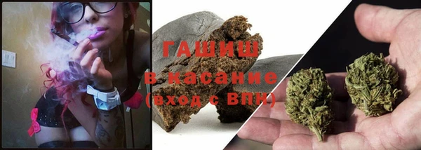 амф Липки
