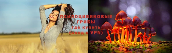 тгк Баксан